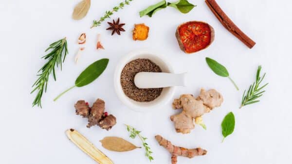 Massaman Currypaste selber machen