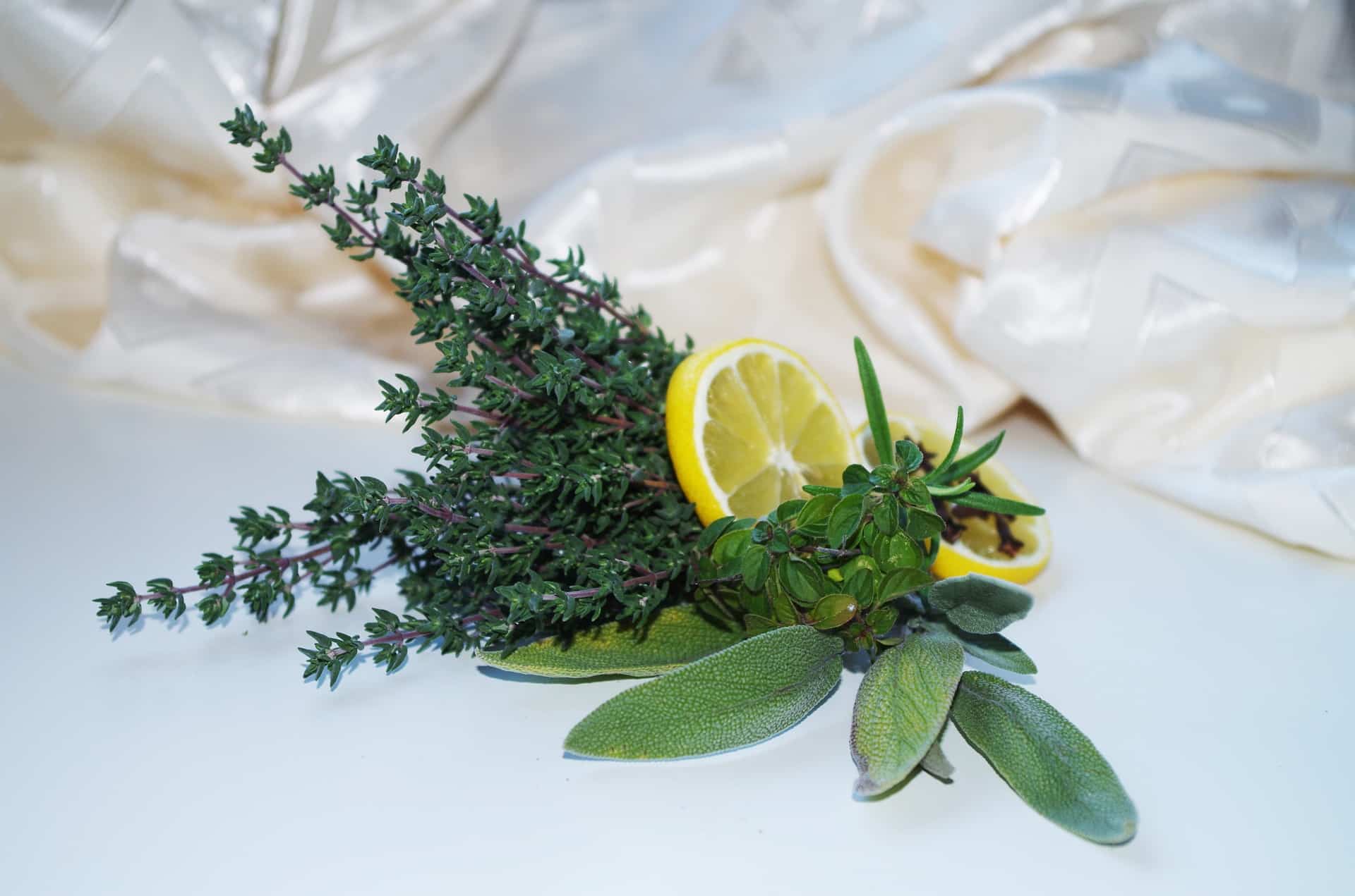Zitronen-Kräuter-Pesto selber machen