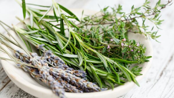 Kräuter der Provence selber machen