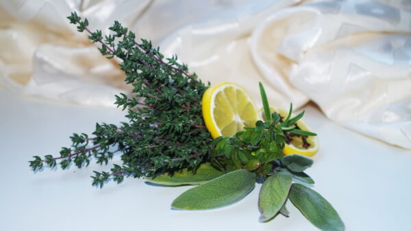 Zitronen-Kräuter-Pesto