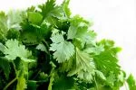 blattpetersilie_pixabay_cilantro-1287301_150x100 Petersilie