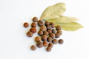 Piment